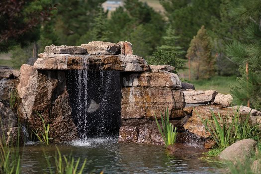 School of orange and white koi visible beneath crystal-clear water with rock edging